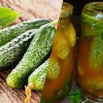 Jak zavřít okurky v chilli kečupu na zimu: 3 bezkonkurenční