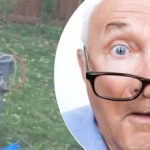 Podivný nález u stromu souseda zmátl: jaké tajemství skrývá.